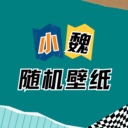 随机壁纸软件【pc端】-小魏博客